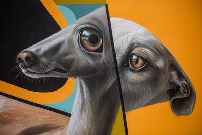 GRENOBLE STREET ART FEST