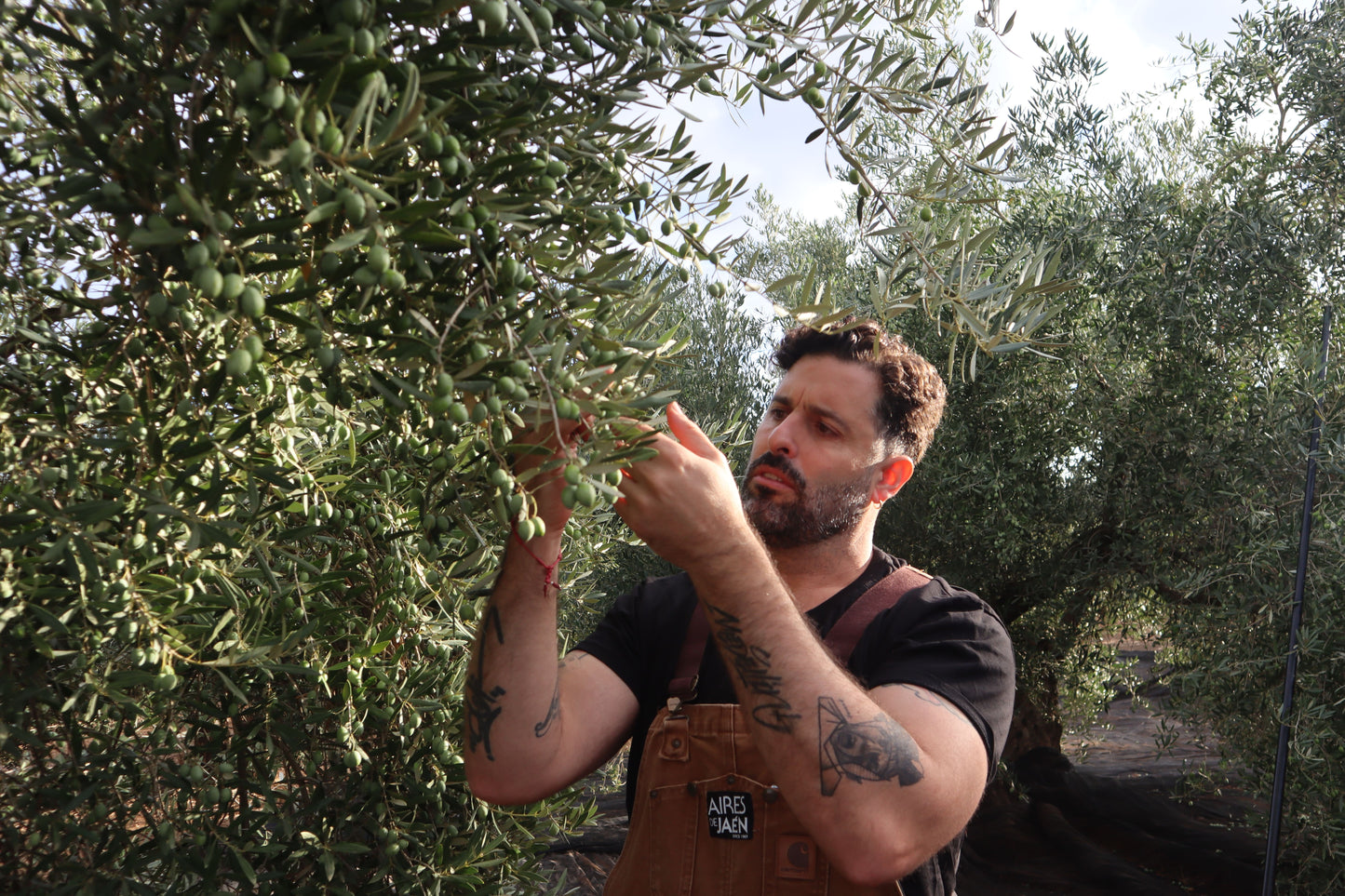 BELIN by Aires de Jaén | ARTE & AOVE