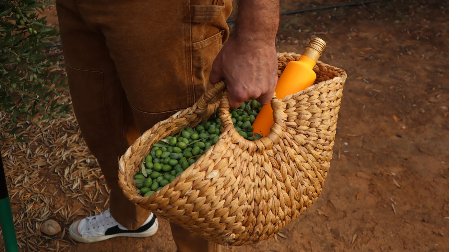 BELIN by Aires de Jaén | ARTE & AOVE